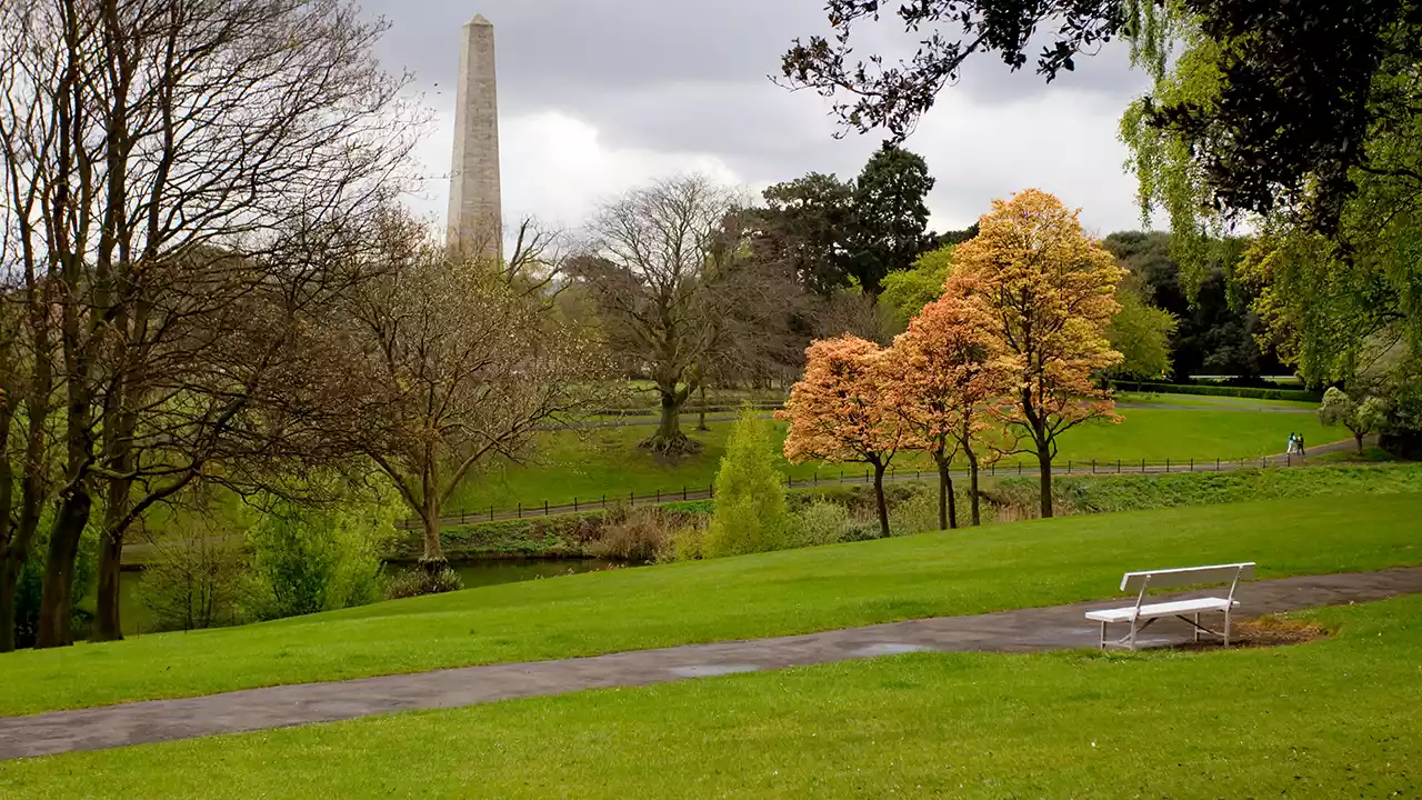 Phoenix Park Dublin Header